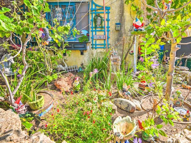Beautiful Flower Garden *