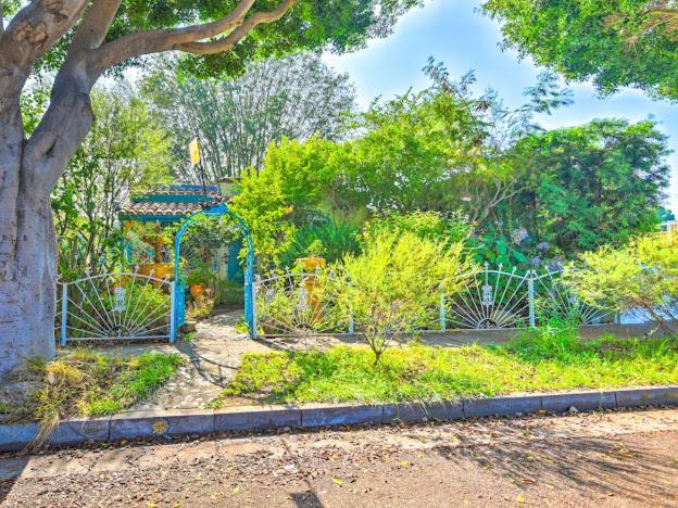 Beautiful Flower Garden Los Angeles